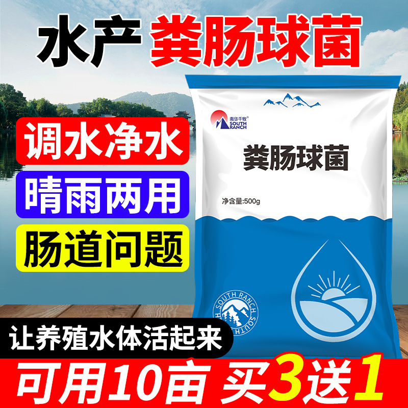 复合改粪调水乳酸菌肠道鱼塘