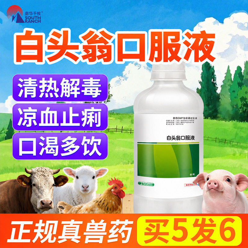 兽药白头翁口服液猪牛羊用养鸡禽药下痢疾停血便拉稀腹泻食欲不振