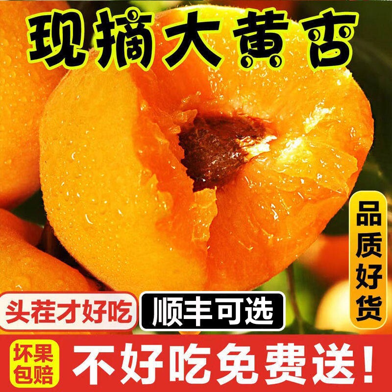 山西大黄杏子新鲜水果当季现摘整箱杏子5斤孕妇水果整箱包邮
