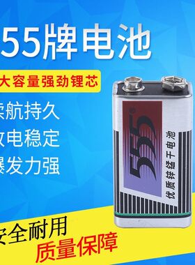 555牌9伏电池 9V电池 6F22 9V方形电池 万用表玩具烟雾感应器