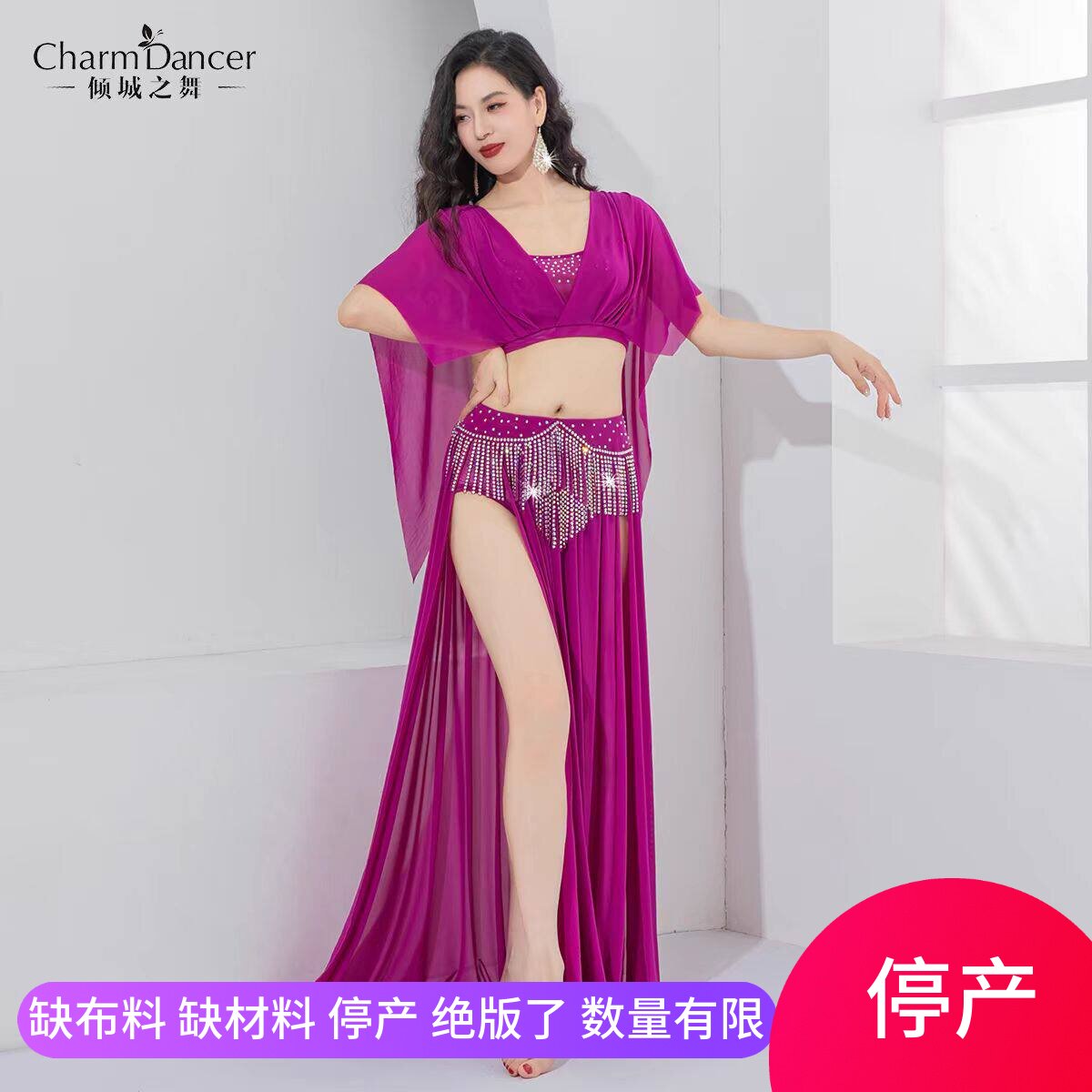 练习演出肚皮舞套装倾城之舞团服