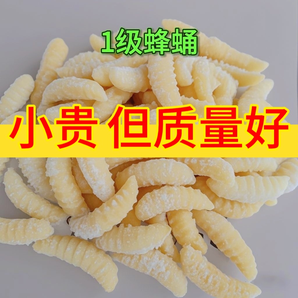 蜂蛹一级新鲜马蜂蛹蜂儿鲜活速冻树胡蜂虫葫芦蜂黄蜂仔野生
