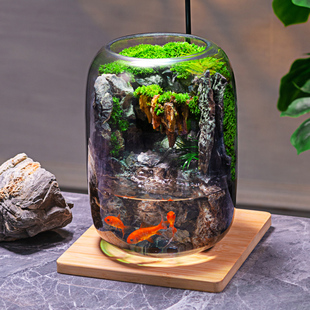 石上清泉流水款养鱼缸真植物苔藓微景观生态瓶办公室成品室内送礼
