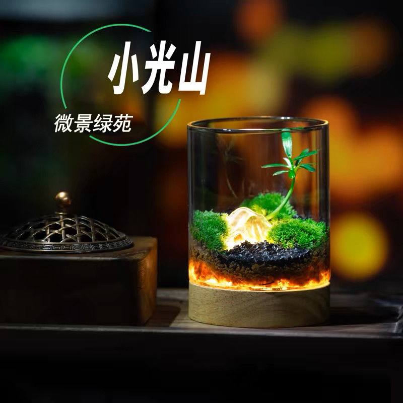 罗汉松生态瓶微景观桌面创意diy苔藓植物礼物玻璃绿植盆栽好养