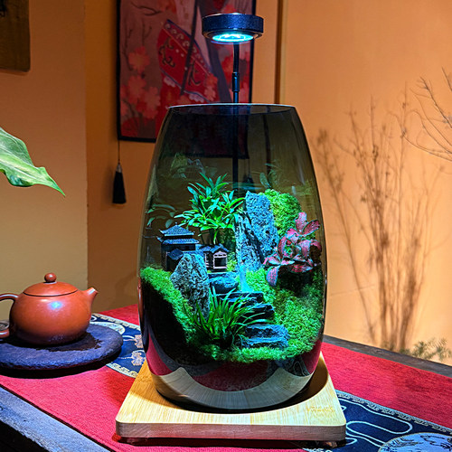 山海间苔藓微景观生态瓶绿植桌面装饰摆件复古氛围感玻璃瓶摆件