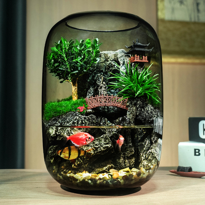 新款小桥流水款养鱼缸苔藓微景观办公室桌面摆件造景真植物送礼