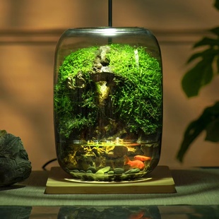 石上清泉C级艺术设计苔藓微景观客厅高品质百搭高硼硅观赏摆件