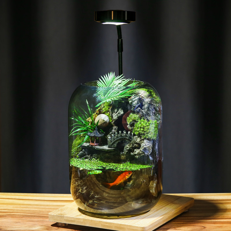 【时来运转】流水款养鱼缸真植物苔藓微景观生态瓶成品室内送礼