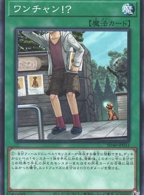 [苍之神话]游戏王 SD40/DBJH 汪分之一机会！？ N/NPR 日文 日版