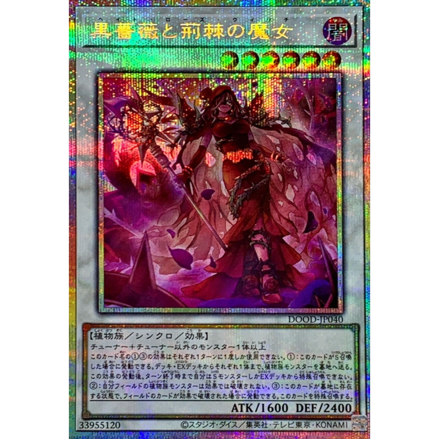 游戏王 1302 DOOD 黑蔷薇与荆棘之魔女 SR/PSER 日文 日版