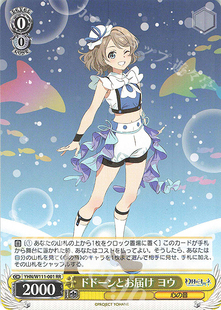 YHN ヨウ 幻日夜羽 ドドーンとお届け 镜中晖光