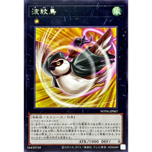 [苍之神话]游戏王 WPP6 波纹鸟 R 日文 日版