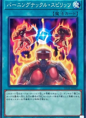 [苍之神话]游戏王 DP28 燃烧拳魂 N 日文 日版