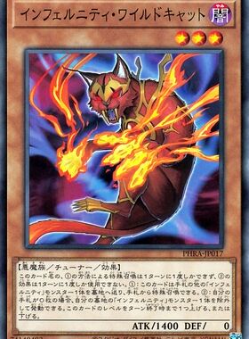 [苍之神话]游戏王 1102 PHRA 永火野猫 N 日文 日版