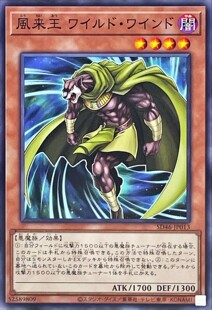 [苍之神话]游戏王 PP19/SD46/MGP4 风来王 野风 N/SER 日文/简中