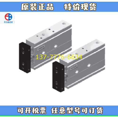 台湾FEIBOR气缸FBGPB20/FBGPU63/FBGSB6/FBGSU10/10/20/25/50/100