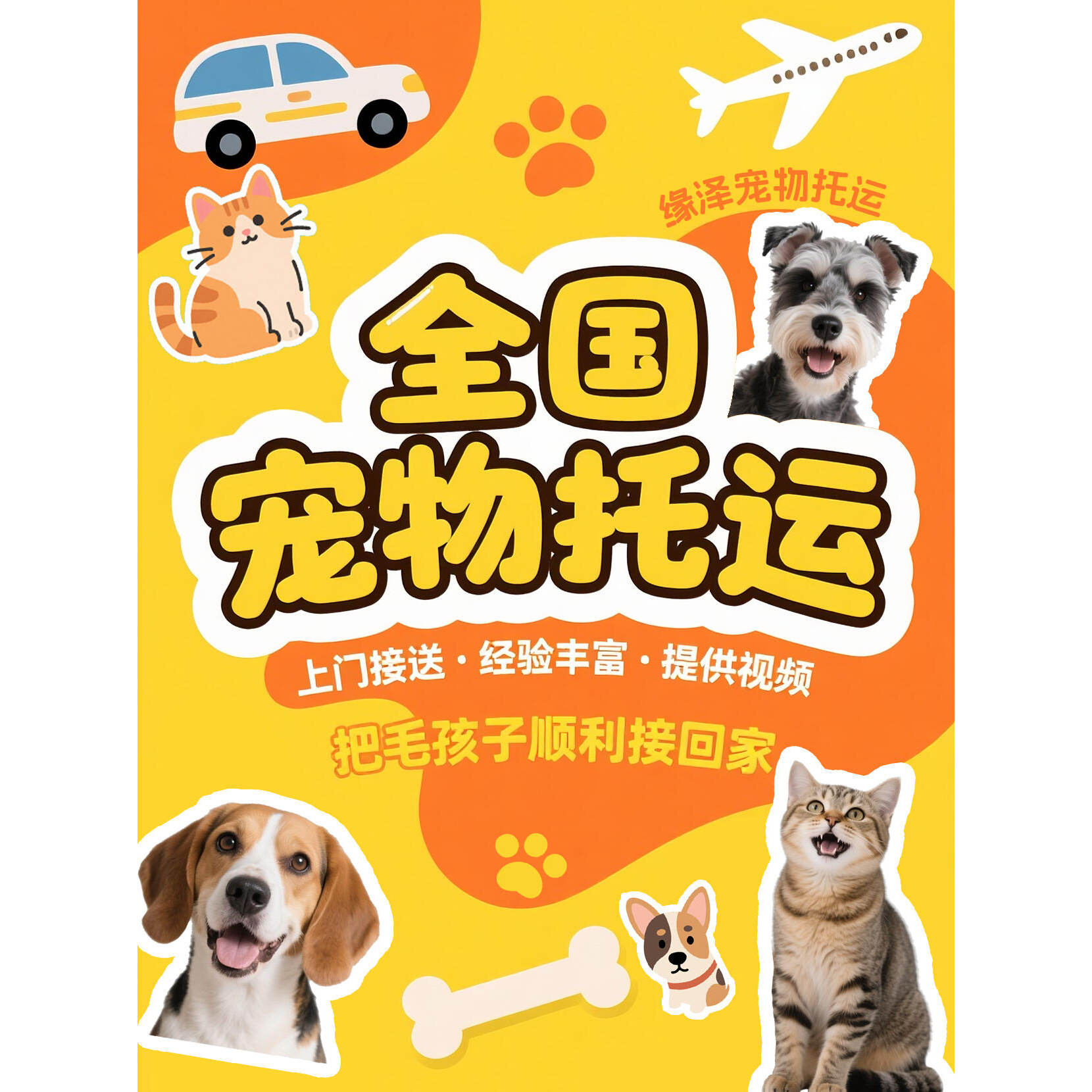 【爱宠无忧】专业宠物托运服务陆运航空全国猫狗专送