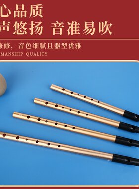 爱尔兰哨笛龙轩C调D调铝合金材质哨头教材布包学生校园厂家成人