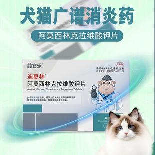 阿莫西林片猫鼻支膀胱炎尿血咳嗽消炎兽用克拉维酸钾宠物感冒50mg