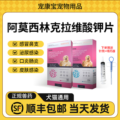 联邦金阿莫西林克拉维酸钾片消炎药感冒鼻支皮肤感染泌尿感染口炎