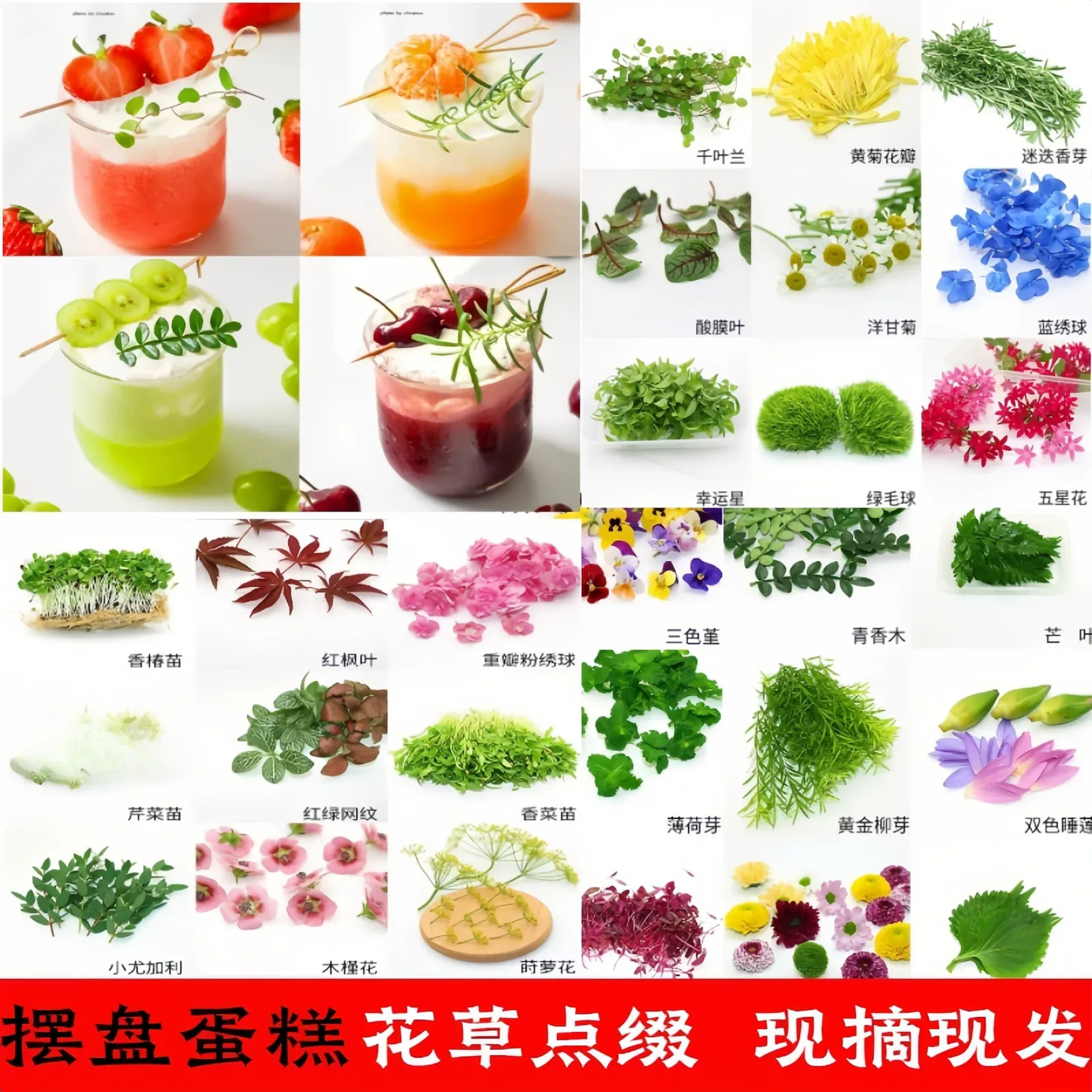 花草合集黄金柳芽清香木三色堇酒店西餐摆盘蛋糕装饰花草饮料点缀