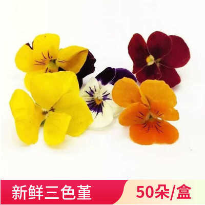 新鲜花草点缀摆盘三色堇烘焙