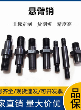 MGQ11 MGQ12 MGQ14 MGQ16 MGQ17 MGQ19悬臂销轴销定位销非标定制