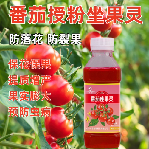 番茄专用坐果灵西红柿点花药授粉沾花座果灵喷花保花保果人工水剂