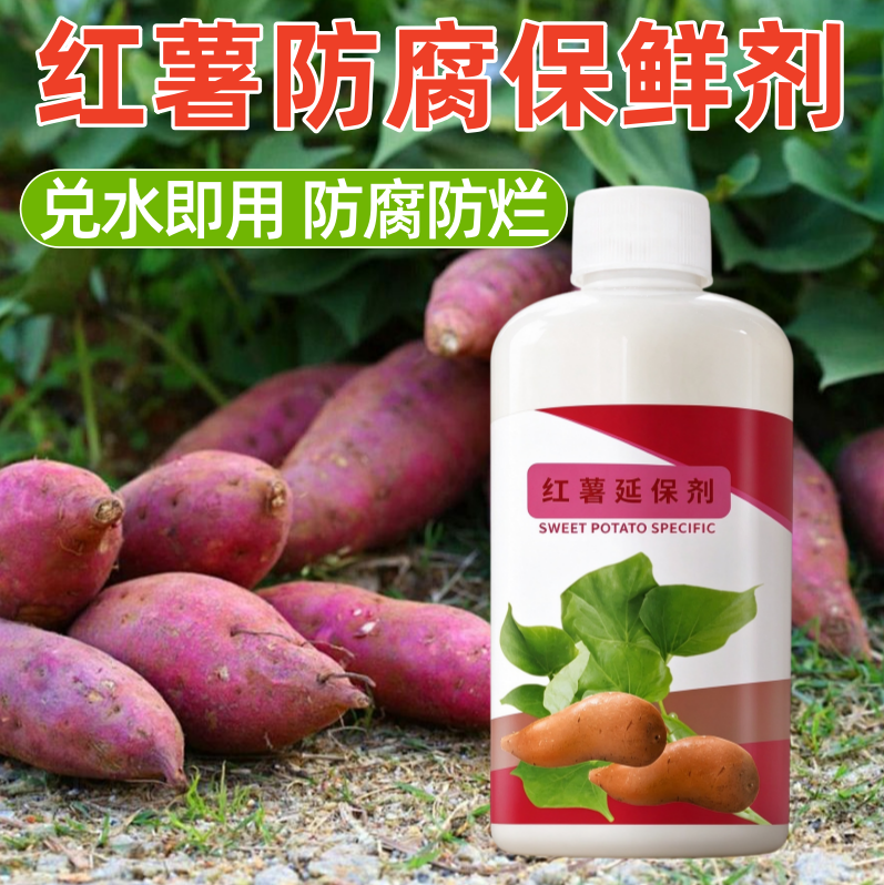 红薯保鲜剂防烂防坏防霉延保剂延长储存时间土豆生姜防腐剂储存液