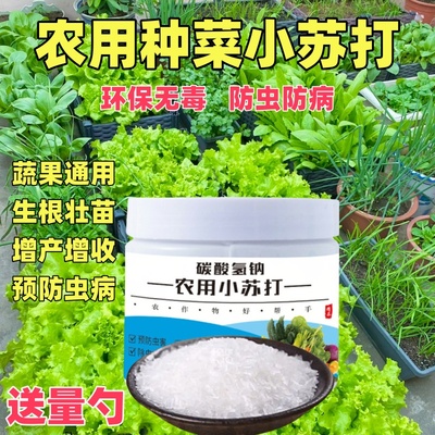 碳酸氢钠种菜农用小苏打