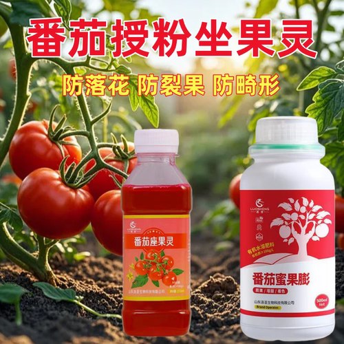 番茄专用坐果灵西红柿点花药授粉沾花座果灵喷花保花保果人工水剂
