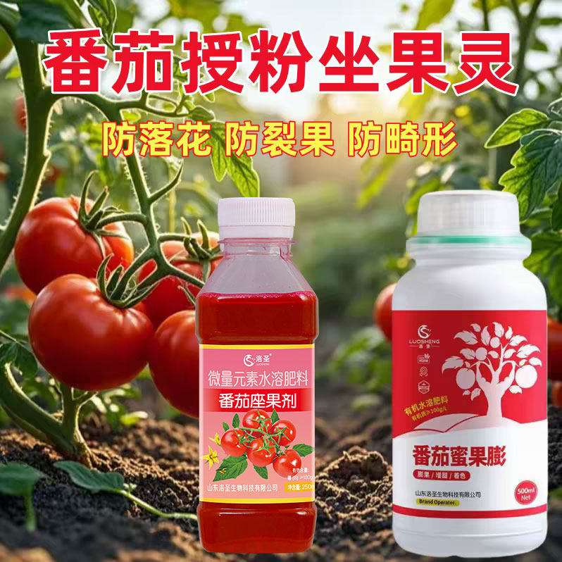 番茄专用坐果灵西红柿点花药授粉沾花座果灵喷花保花保果人工水剂