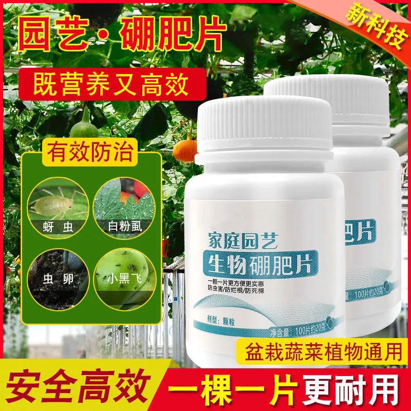 园艺防虫片糖化硼肥片绿植花卉防虫颗粒园艺驱虫片驱蚊虫防飞蚜虫