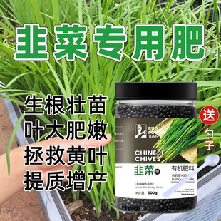 韭菜专用肥料种韭菜苗粗又壮增产有机肥叶面肥干尖灵黄叶干叶病药