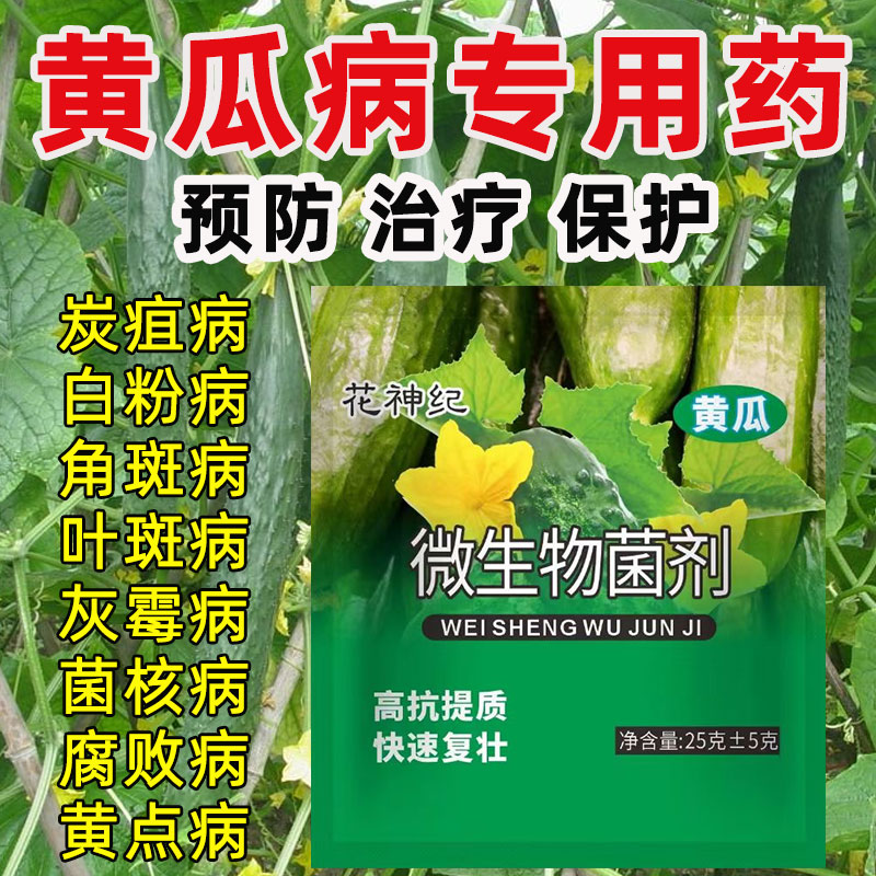 黄瓜专用药白粉霜灰霉软腐特效黄叶靶斑虫害病肥料蔬菜杀菌剂叶面