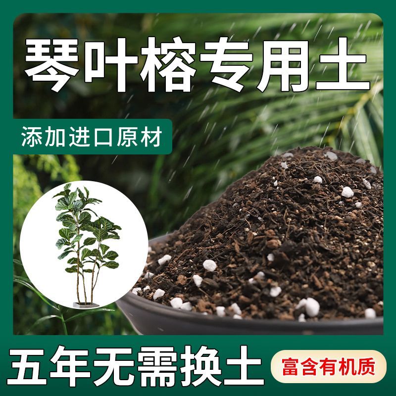 琴叶榕专用土壤肥料营养土大叶榕花土疏松透气泥土种植土高山榕