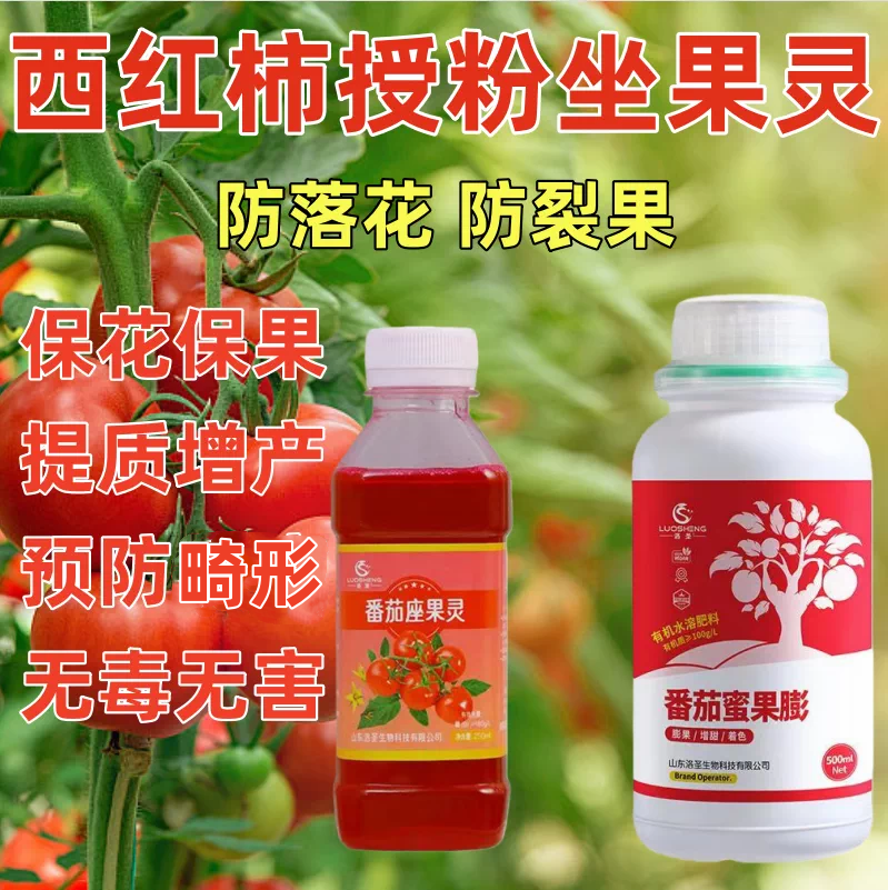 番茄专用坐果灵西红柿点花药授粉沾花座果灵喷花保花保果人工水剂