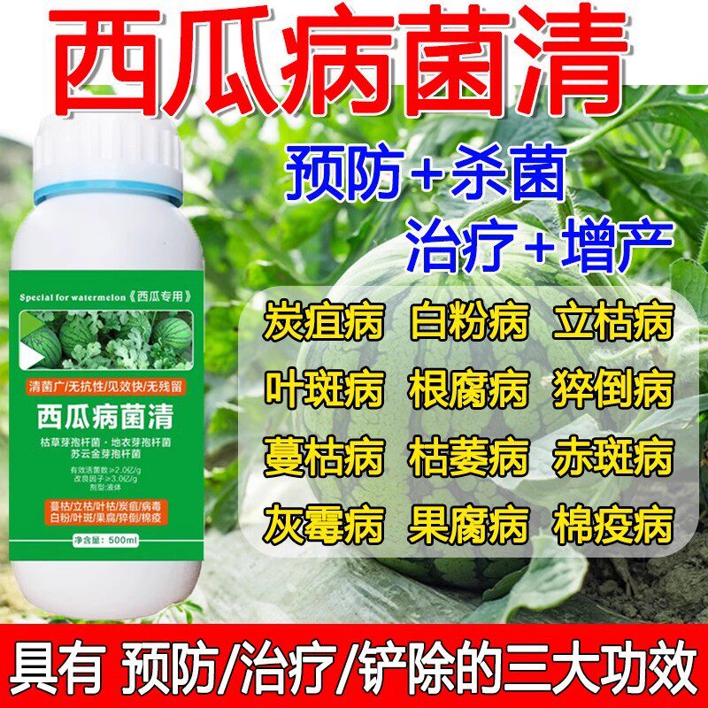 西瓜杀菌剂西瓜甜瓜哈密瓜黄叶枯萎青枯蔓枯炭疽病全治西瓜专用药