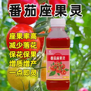 西红柿专用坐果灵小番茄点花喷花授粉座果保花保果落果增产防裂药