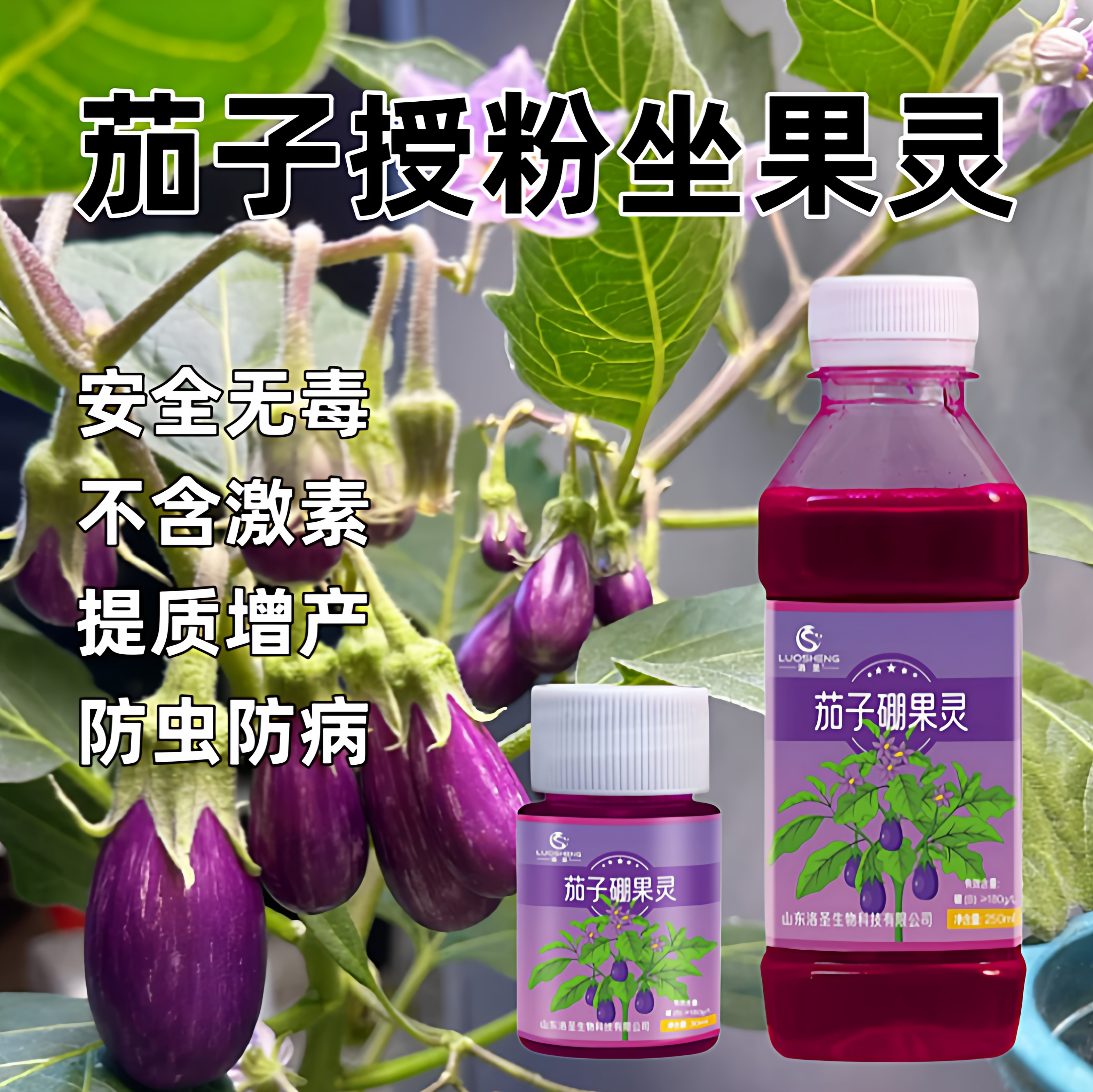 茄子专用坐果灵授粉点花药喷花沾花座果灵圆长保花保果防落果水剂