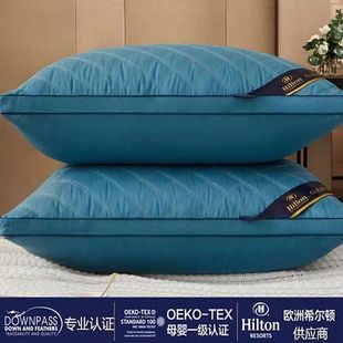 Bedding Pillow Neck Protection Sleeping Pillows 舒适枕头枕芯