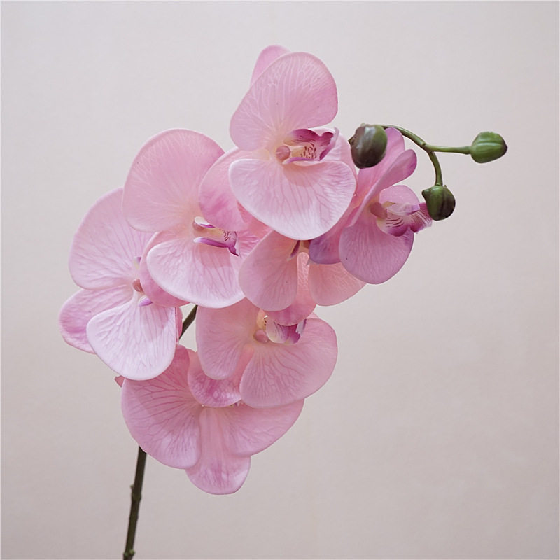 仿真花7头手感保湿蝴蝶兰