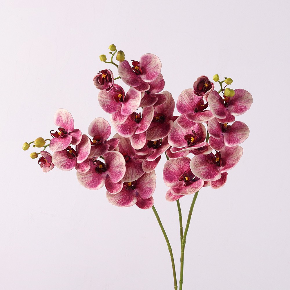 仿真花硅胶棉蝴蝶兰大家
