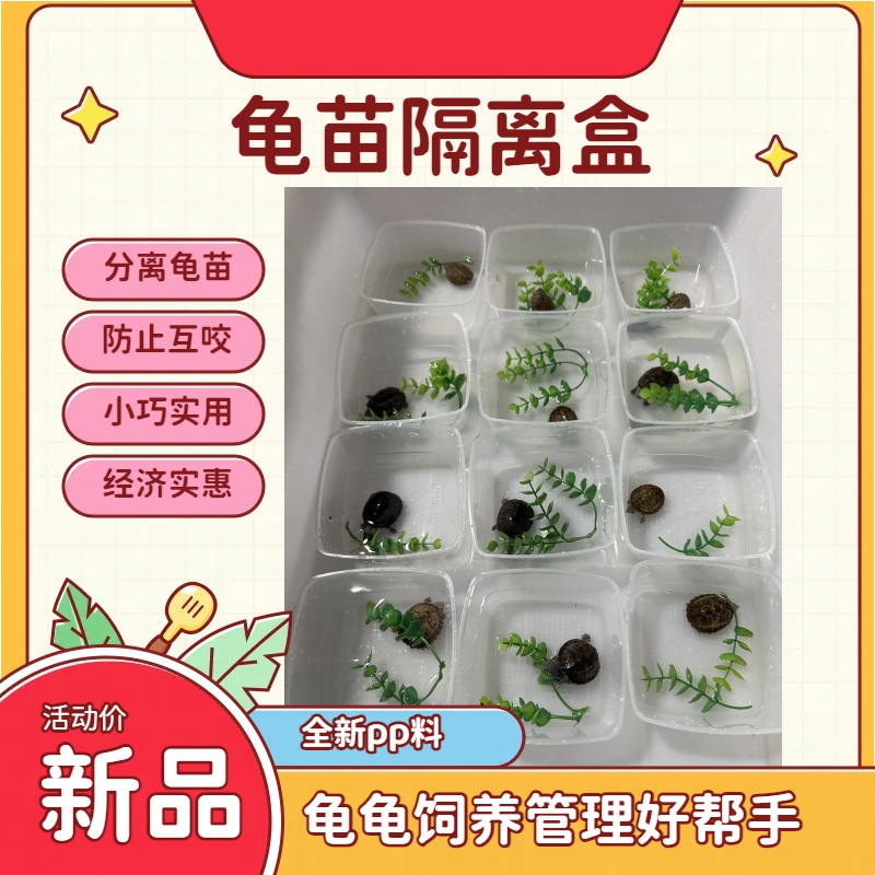 龟苗隔离饲养蛋龟苗塑料