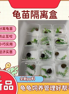 龟苗隔离饲养蛋龟苗塑料