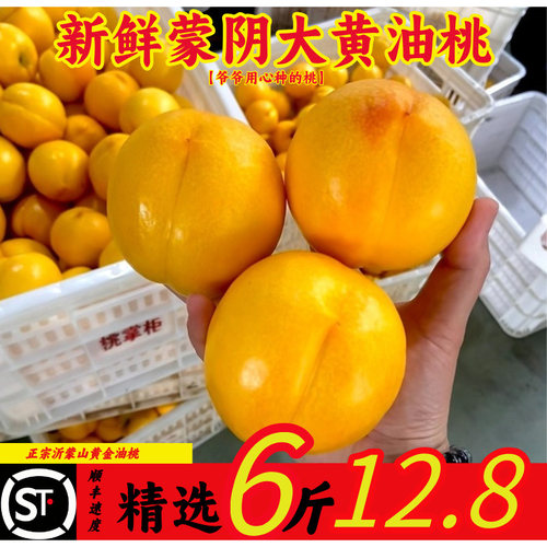蒙阴黄金油桃当季脆甜脆桃批发价