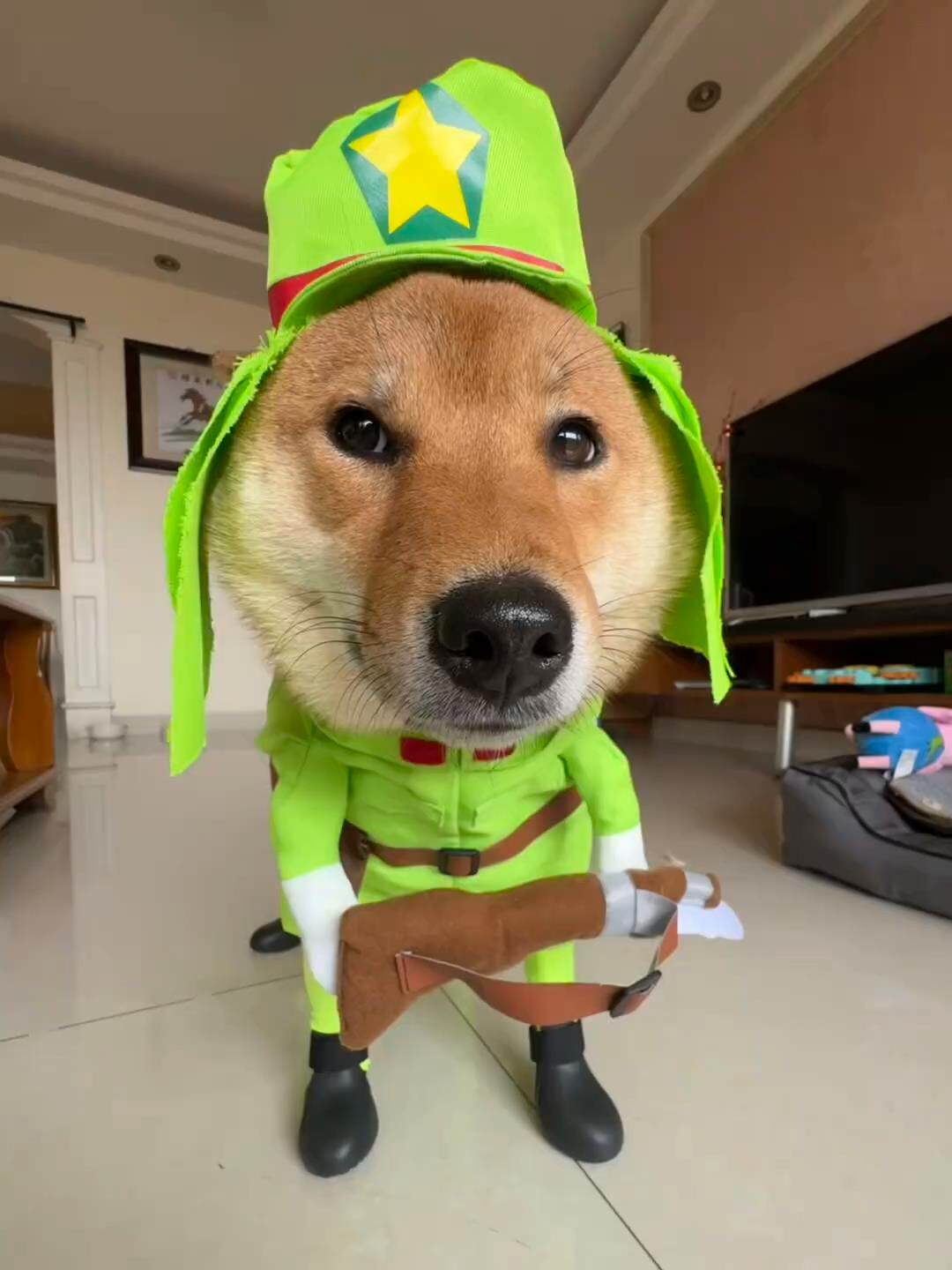 新款八嘎装宠物搞笑狗狗猫咪衣服中小型犬恶搞巴哥比熊泰迪柴犬潮