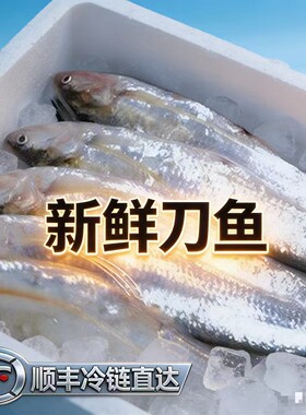 永嘉 塘头 炎亭新鲜海刀鱼 刀JI 凤尾鱼冰鲜500克8之10条包邮