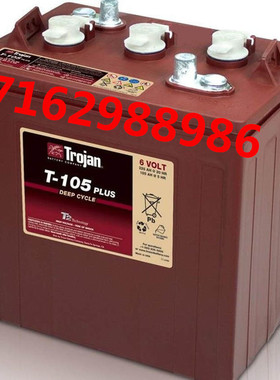 邱健蓄电池T-105  6V225Ah旅游观光车堆高车叉车动力电瓶现货促销