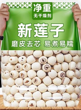 湖南湘潭新货去芯磨皮白莲子无硫野生莲子新鲜莲子500g罐装含罐